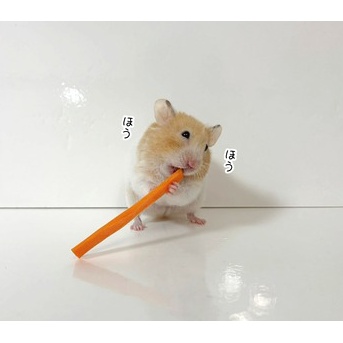 今日のプリン(10/1追記)