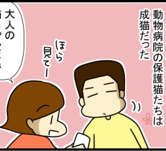 猫飼いのタイミングと運命
