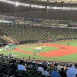 『暑、湿、ライオンズ勝つ』の画像