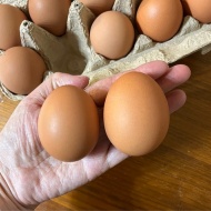 甘みと旨みがギュっとつまったアイ杉原の特大たまご！