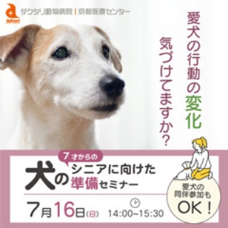 犬のしつけ方教室 京都ダクタリ学園
