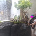 須磨シーワールド🐬&今日の様子