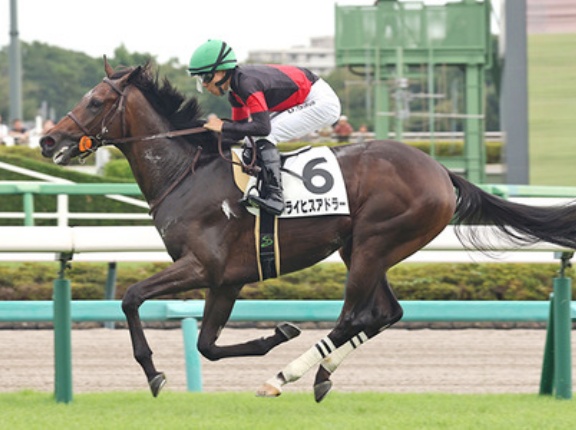 【競馬予想】[2]第63回弥生賞ディープインパクト記念(GⅡ) /2026