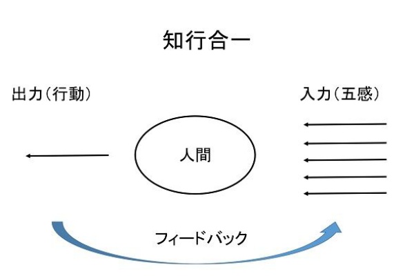 葦の気づきノート 養老孟司