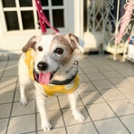 華・あず＆レン