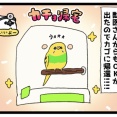 【さっぱり】鳥カゴをピカピカにしましたょ✨