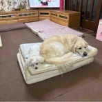 れい＆らな＆りん・・・＆れな♪