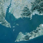 ■三河湾アサリ「水質改善で餌が減り漁獲量減」中国や韓国のアサリ漁獲量に納得、日本は意図的に水質基準緩和の決断