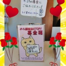 真心募金ありがとうございます《はやかわ動物病院》