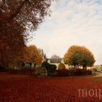 パリ生活社ミルクとマカロン2