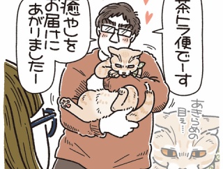 幸せを運ぶ茶トラ便とサバトラ便