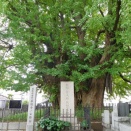 マウンテンメンバー「麻布十番から広尾へ」