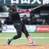 【日本ハム】カストロが来日１号ホームラン！｜ソフトバンク戦｜打った瞬間の反応まとめ｜3/28