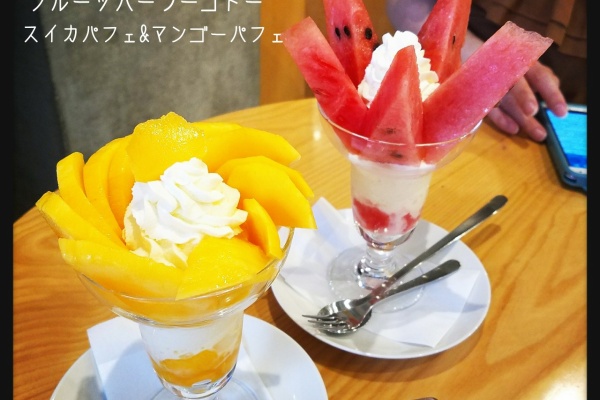 たかシェフのおうちごはん と 白い犬 と チワワ 浅草寺 Powered By ライブドアブログ