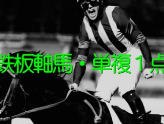 (日)◎鉄板軸馬