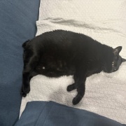 認めたくない夫