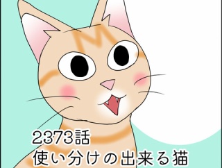 あんこ＆麦2373 使い分けの出来る猫
