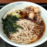 『秋葉原 みのがさ 信州戸隠蕎麦の名店! げそ天そば / 立ち食いそば』の画像