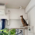 天井の一点を見てワクワクするぼくちん