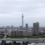 東京スカイツリー定点観測所