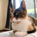 お目めまん丸