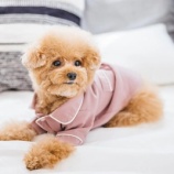 『不安な事は模様替えでちょっと気晴らし』の画像