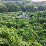 『1年を振り返ってみて&自分の強み(山本陽貴)』の画像