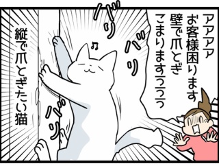 パワー型猫の爪とぎ対策した話とおススメ