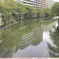 心と身体を整える「チャクラキリヨガ®」