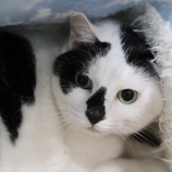 『1月29日(土)〜30日(日)のオープンについて』の画像