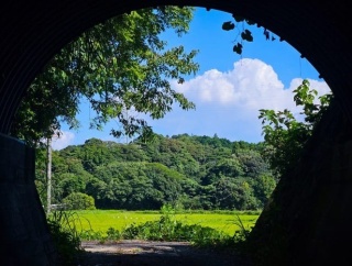 8月だから夏に撮った写真あげていく