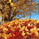 fastidioso acufene sta peggiorando