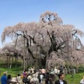 桃や赤べこで有名な福島県のまとめ♪
