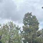 手作り雑貨、アクセサリーそして音楽も素敵【Cocokara】