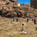 メモ：【FF14】ザナラーンにだって夏は来る