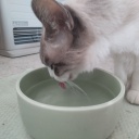 ���Ǥ϶��Ϥ���ʬ���������餻�������ä������Ǥ������륯��äȤ������ϤϹ�ʪ�ε��򸫤�ȷ�ߤǤ�(^_^)