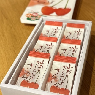 ここちよい旅 PLUS　～夫婦世界一周旅行～