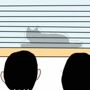 猫の健康診断でまさかのAdo登場