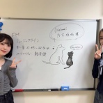 坂道情報通～乃木坂46まとめ～