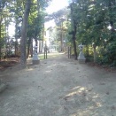 一松神社　その1　(千葉県長生郡長生村一松丙)