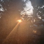 　猫の時間　 しなじく　