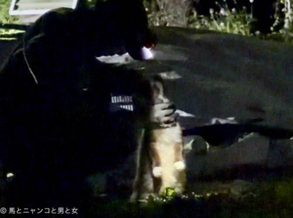 幸せを掴むために