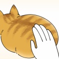 うれしかったこと