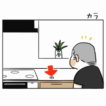 カラ