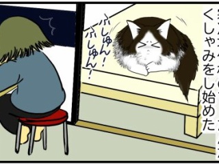 【猫との暮らし】省エネより節約より猫様が大事
