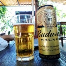 Budweiser Magnum を飲んでみた。