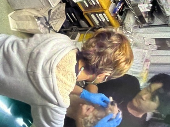 今日のクリニック