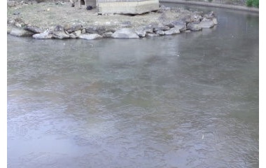 『洗水池』の画像