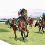 BOSS猿のアナログ肉眼競馬