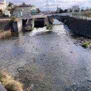 �����������衡���졡�޽�ۡ���֥�󥷥桡�뤴��